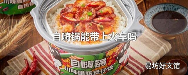 自嗨锅能带上火车吗