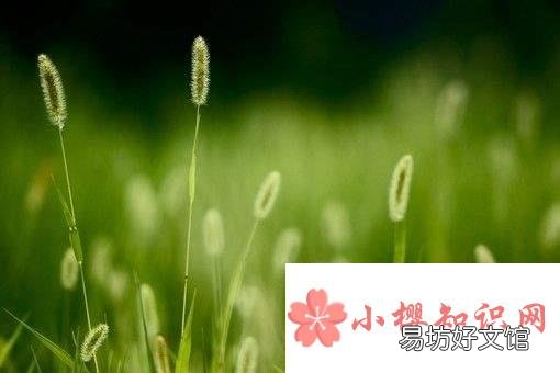 用动作描写害怕的句子有哪些?