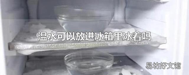 温水可以放进冰箱里冰着吗