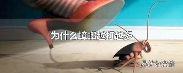 为什么蟑螂越打越多
