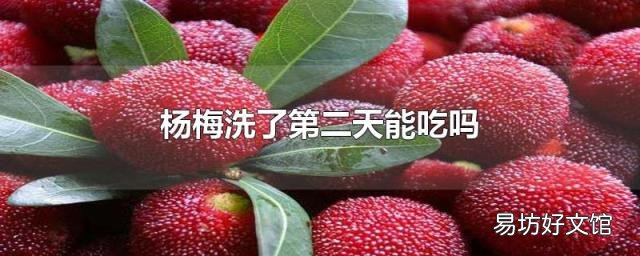 杨梅洗了第二天能吃吗