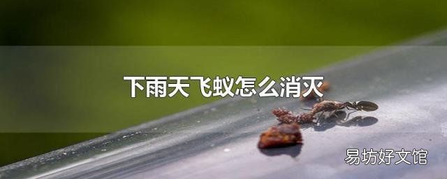 下雨天飞蚁怎么消灭
