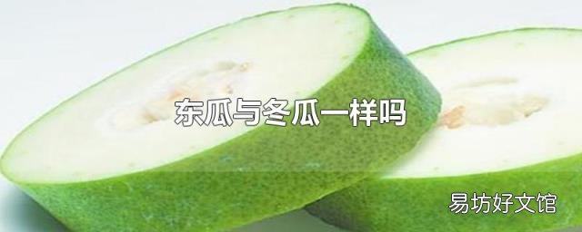 东瓜与冬瓜一样吗