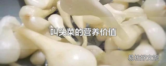 叫头菜的营养价值