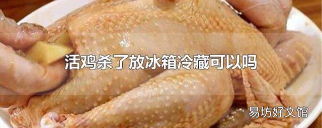 活鸡杀了放冰箱冷藏可以吗