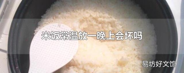 米饭常温放一晚上会坏吗