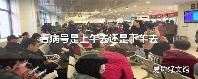 看病号是上午去还是下午去