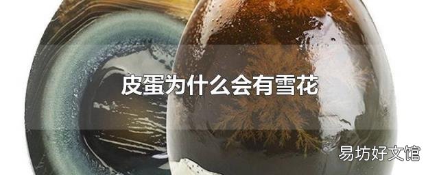皮蛋为什么会有雪花