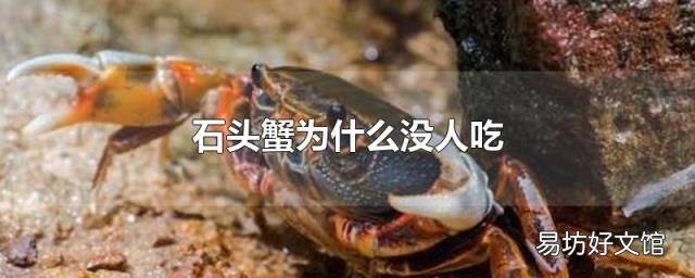 石头蟹为什么没人吃