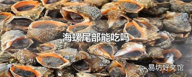 海螺尾部能吃吗