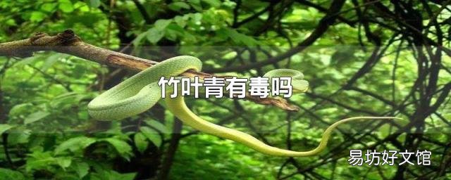 竹葉青有毒嗎