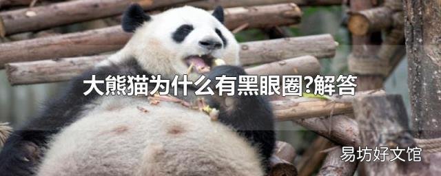 大熊猫为什么有黑眼圈?解答