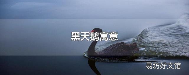 黑天鹅寓意