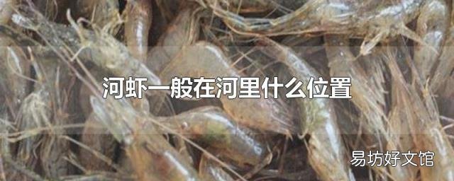 河蝦一般在河里什么位置