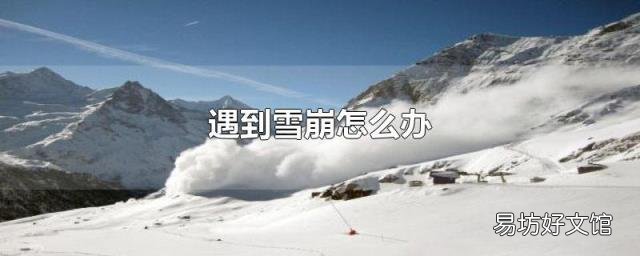 遇到雪崩怎么辦