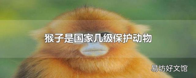 猴子是国家几级保护动物