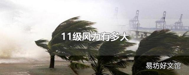 11级风力有多大