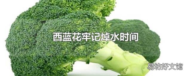 西蓝花牢记焯水时间