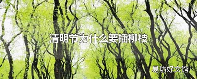 清明节为什么要插柳枝