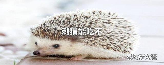 刺猬能吃不