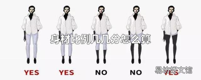 身材比例几几分怎么算