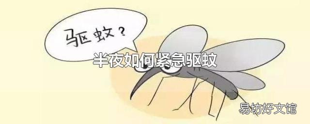 半夜如何紧急驱蚊