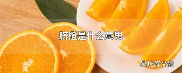 脐橙是什么意思