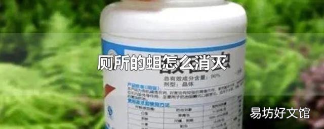 厕所的蛆怎么消灭