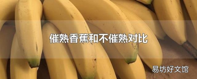 催熟香蕉和不催熟对比