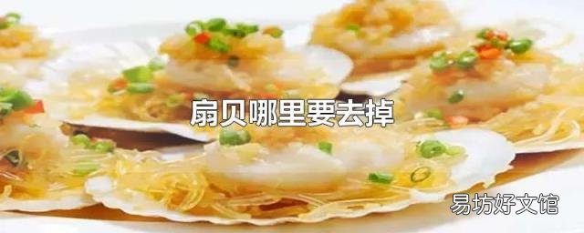 扇贝哪里要去掉