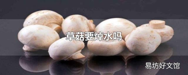 草菇要焯水吗