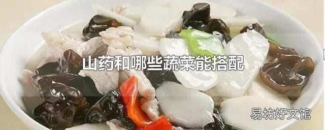 山药和哪些蔬菜能搭配