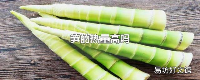 笋的热量高吗