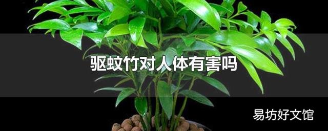驱蚊竹对人体有害吗