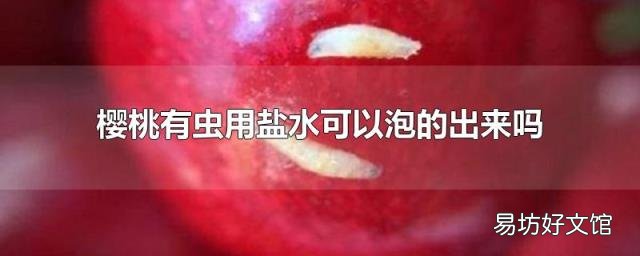 樱桃有虫用盐水可以泡的出来吗