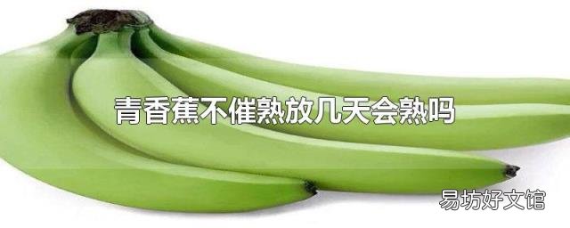 青香蕉不催熟放几天会熟吗