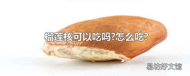 榴莲核可以吃吗?怎么吃?