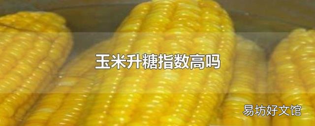 玉米升糖指数高吗