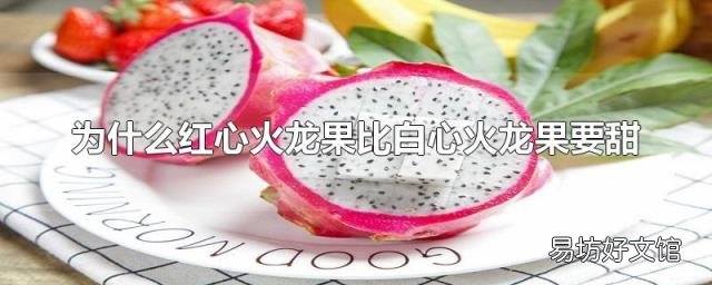 为什么红心火龙果比白心火龙果要甜