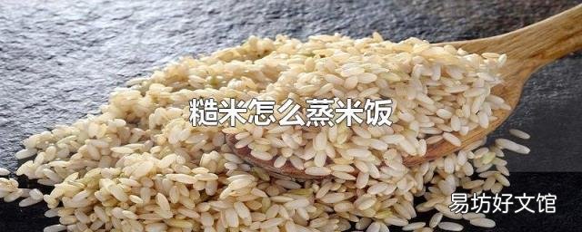 糙米怎么蒸米饭