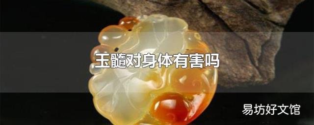玉髓对身体有害吗