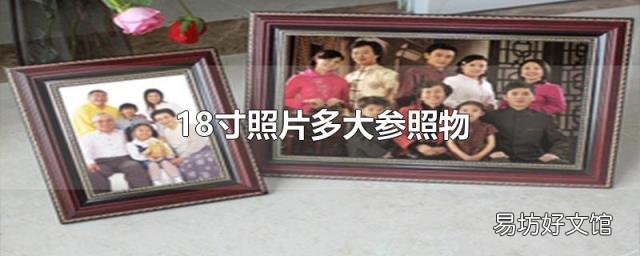 18寸照片多大参照物