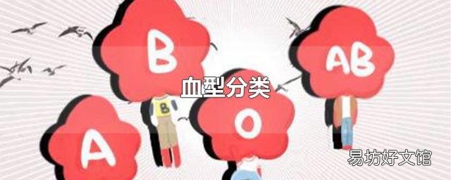 血型分类