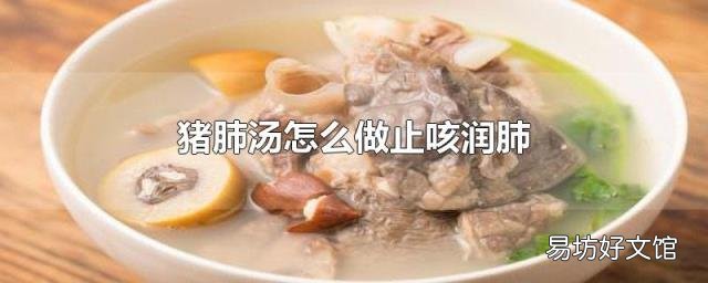 猪肺汤怎么做止咳润肺