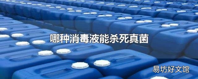 哪种消毒液能杀死真菌