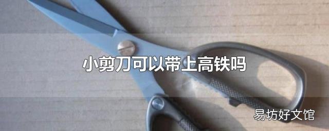 小剪刀可以带上高铁吗