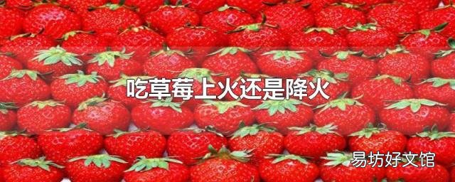吃草莓上火还是降火