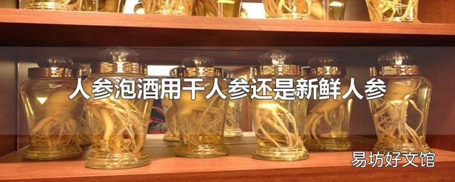 人参泡酒用干人参还是新鲜人参