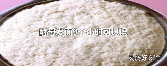 酵母发面9个小时可以吗