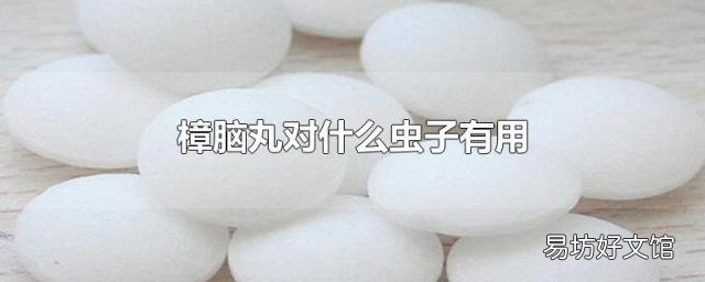 樟脑丸对什么虫子有用